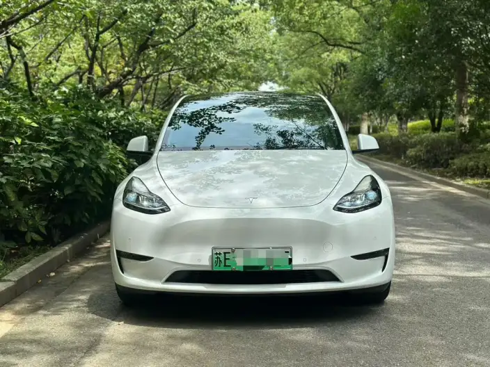 Model Y 2021 Model Standard Battery Life Rear-wheel drive version