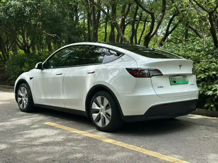 Model Y 2021 Model Standard Battery Life Rear-wheel drive version