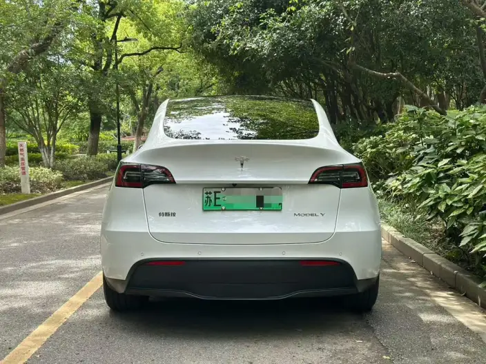 Model Y 2021 Model Standard Battery Life Rear-wheel drive version