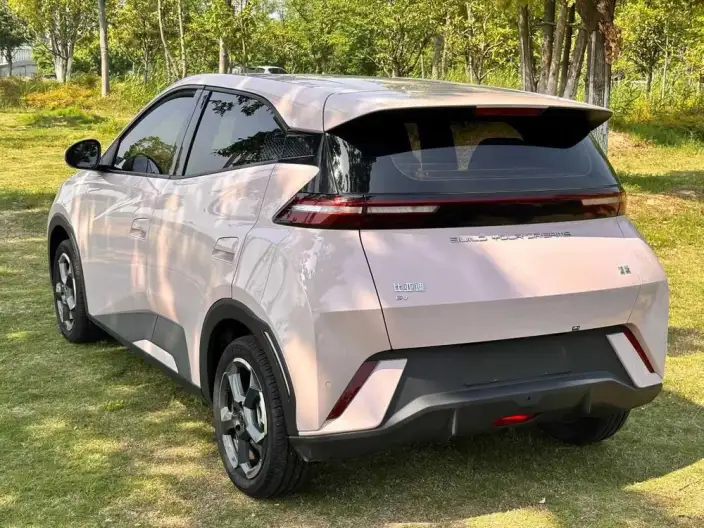 BYD Seagull 2024 Model Honor Edition 405KM Feixiang Edition