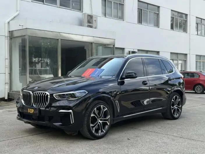 BMW X5 2022 Model Facelift xDrive 40Li M Sports Set