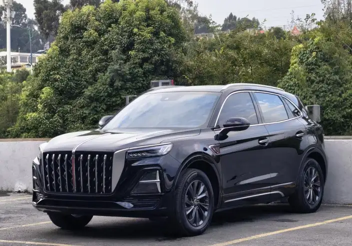 Hongqi HS5 2023 Model 2.0T Flag Xiang Pro Edition