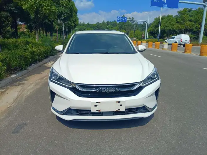 Yixuan 2021 Model 230T Automatic Chasing the Wind version
