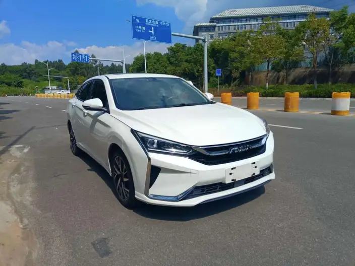 Yixuan 2021 Model 230T Automatic Chasing the Wind version