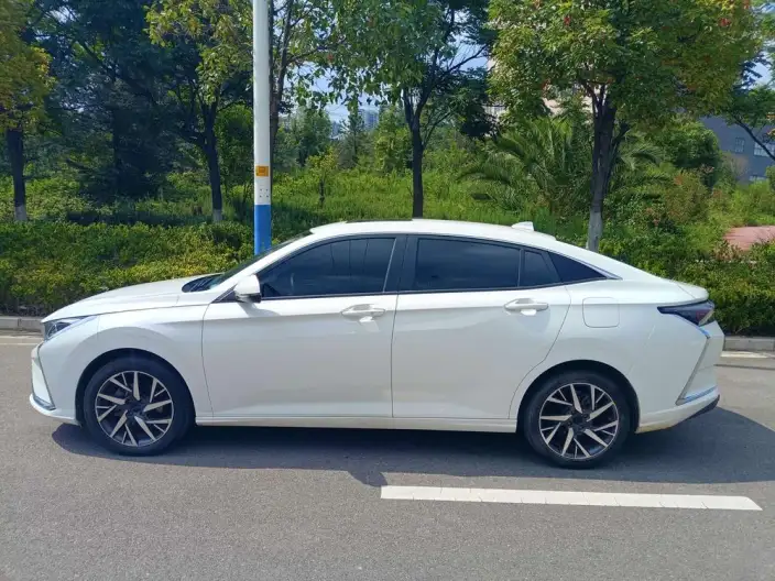 Yixuan 2021 Model 230T Automatic Chasing the Wind version