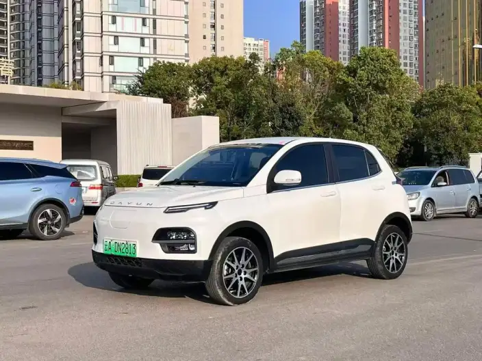 Yuehu 2022 Model 30.66KWh 2WD Standard Edition
