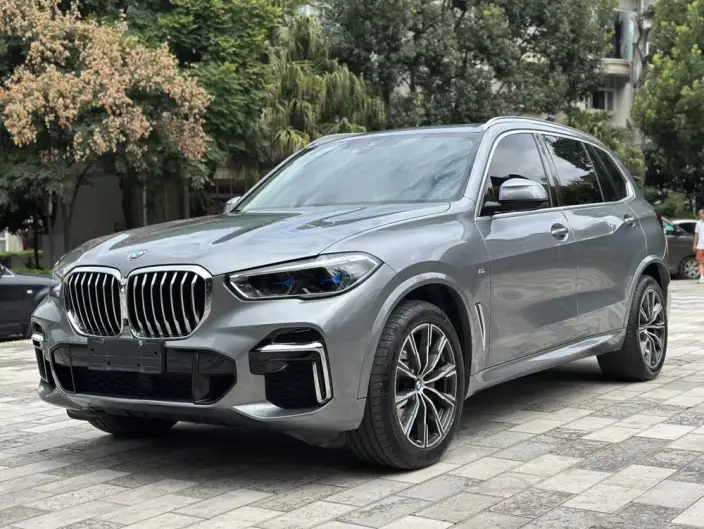 BMW X5 2022 Model xDrive 30Li Exclusive Model M Sports Set