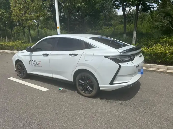 Yixuan 2023 Model Mach Version 1.5L Automatic Chasing the Wind version
