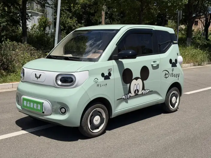 Wuling Hongguang MINIEV 2024 Model 215km Youth Edition Lithium Iron Phosphate