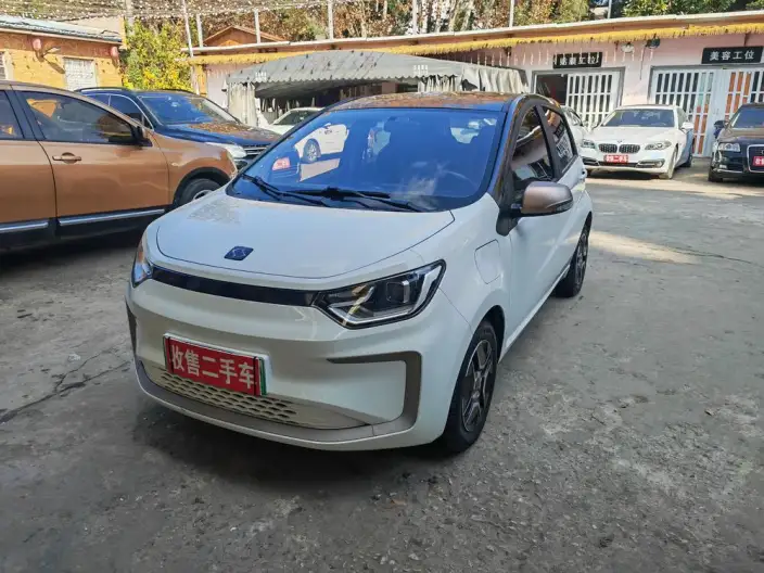 Sehol E10X 2021 Model 302km Luxury Model 30.2kWh