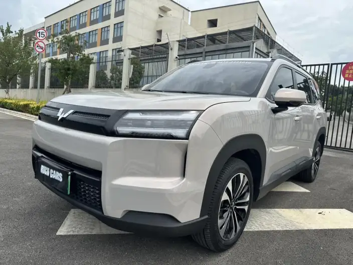 Xingguang 560 EV 2026 Model 500km Luxury Model