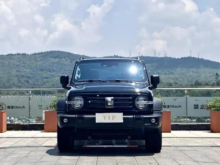 Tank 300 2025 Model 2.4T Diesel Edition