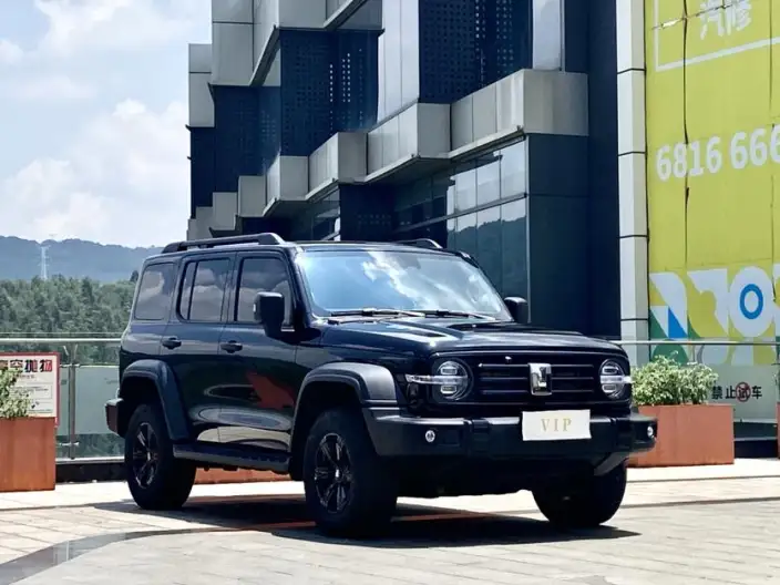 Tank 300 2025 Model 2.4T Diesel Edition
