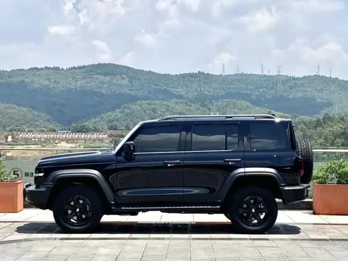 Tank 300 2025 Model 2.4T Diesel Edition