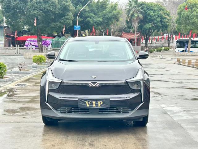 Neta U 2021 Pro 400 Cruise Edition