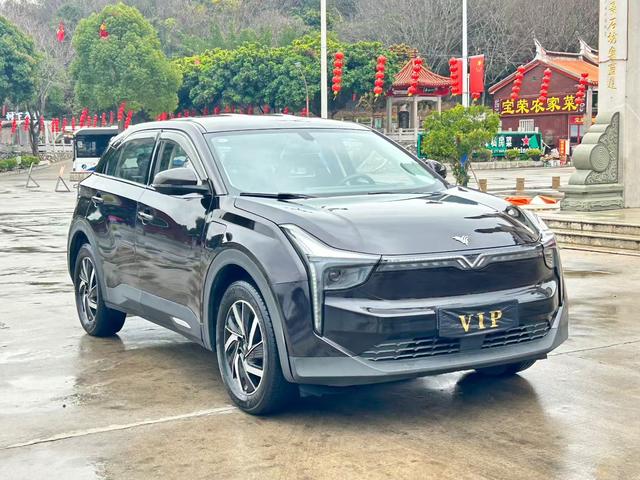 Neta U 2021 Pro 400 Cruise Edition