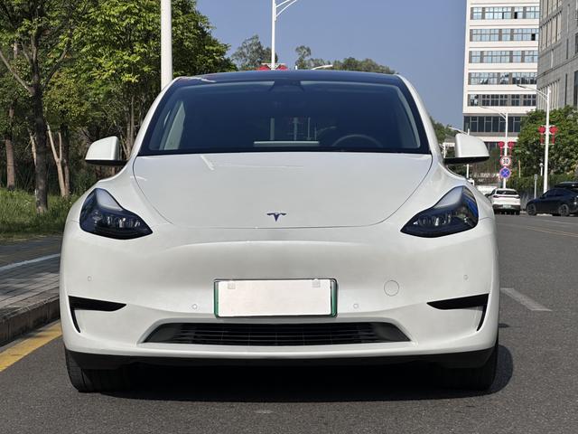 Tesla Model Y 2022 RWD – фото 2
