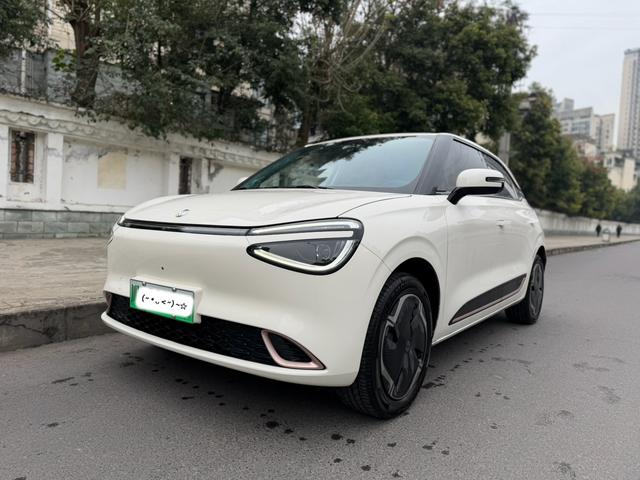 Dongfeng Nano 01 2024 Refreshed Edition 330 Plus Smart+