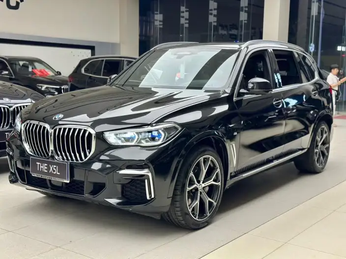 BMW X5 2022 Model Facelift xDrive 40Li M Sports Set