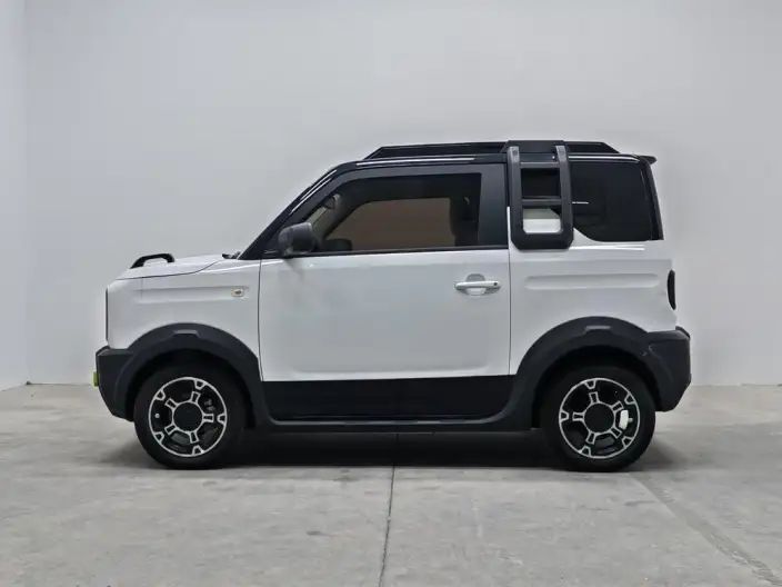 Panda 2025 Model 210km Panda Knight