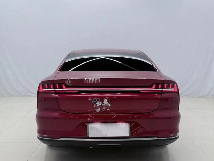 BYD Han DM 2020 Model DM 4WD performance version Noble Model – фото 5