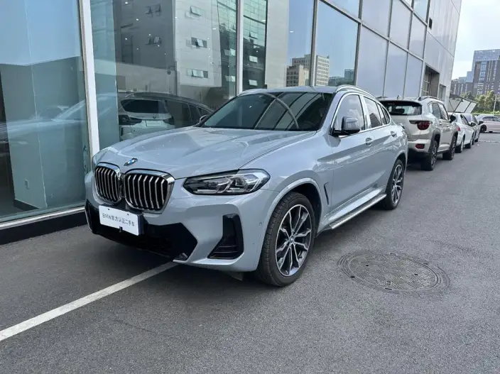 BMW X4 2022 Model xDrive 30i M Sports Set – фото 1