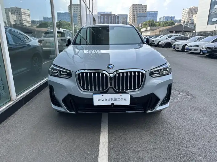 BMW X4 2022 Model xDrive 30i M Sports Set – фото 2