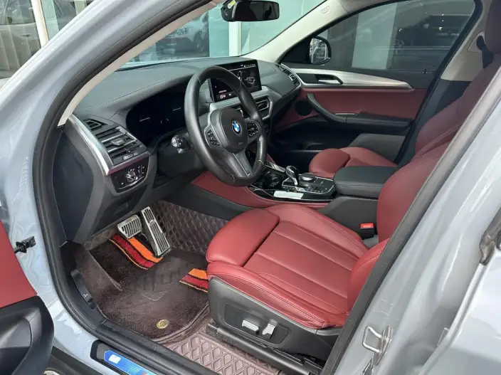 BMW X4 2022 Model xDrive 30i M Sports Set – фото 8