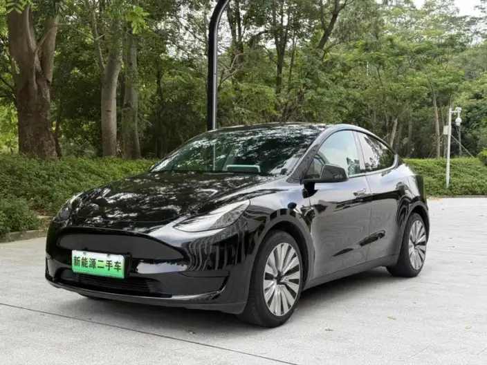 Model Y 2022 Model Rear-wheel drive version – фото 1