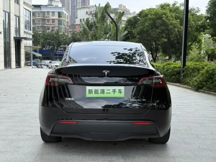 Model Y 2022 Model Rear-wheel drive version – фото 5