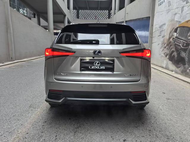 Lexus NX Модель 2018 года 300h Qian Drive Fengshang Edition Country VI – фото 4