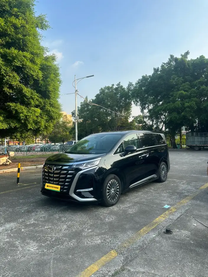 DENZA D9 DM 2024 Model 970 Luxury Model