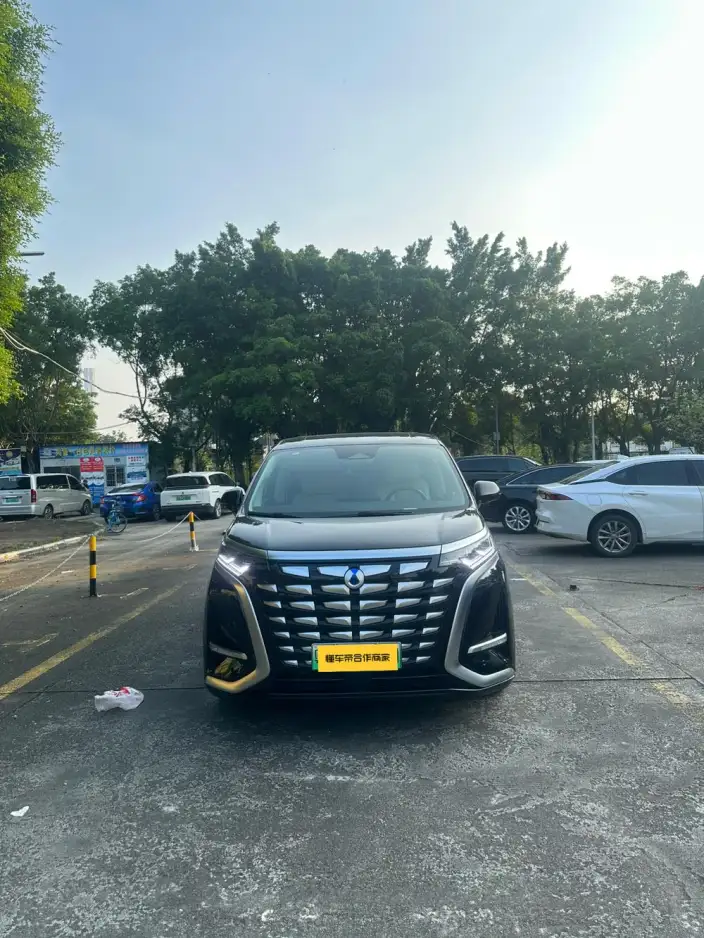 DENZA D9 DM 2024 Model 970 Luxury Model