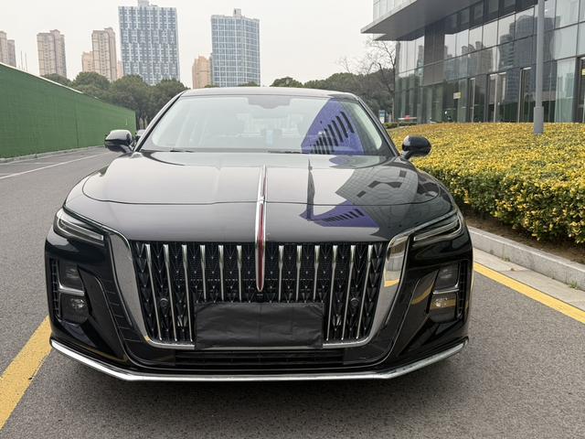 Hongqi H5 2023 1.5T DCT Smart Connect Flag Joy – фото 2