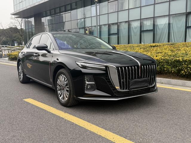 Hongqi H5 2023 1.5T DCT Smart Connect Flag Joy – фото 3