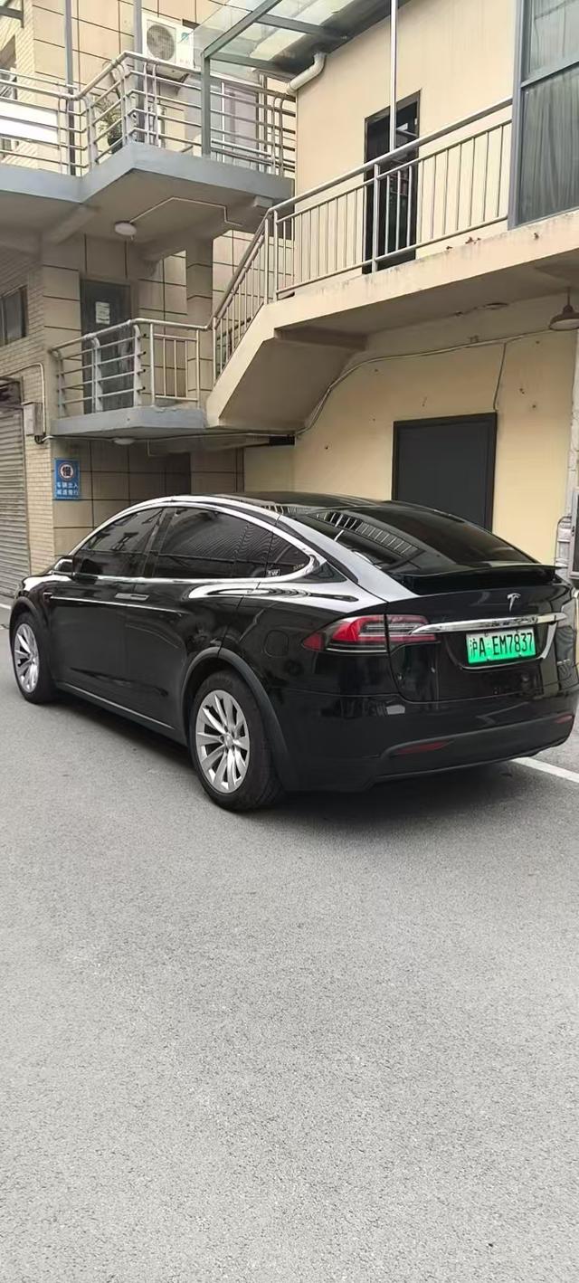 Tesla Model X 2019 Performance – фото 2
