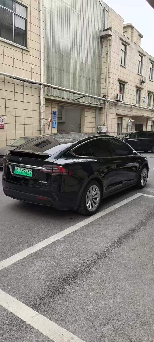 Tesla Model X 2019 Performance – фото 3