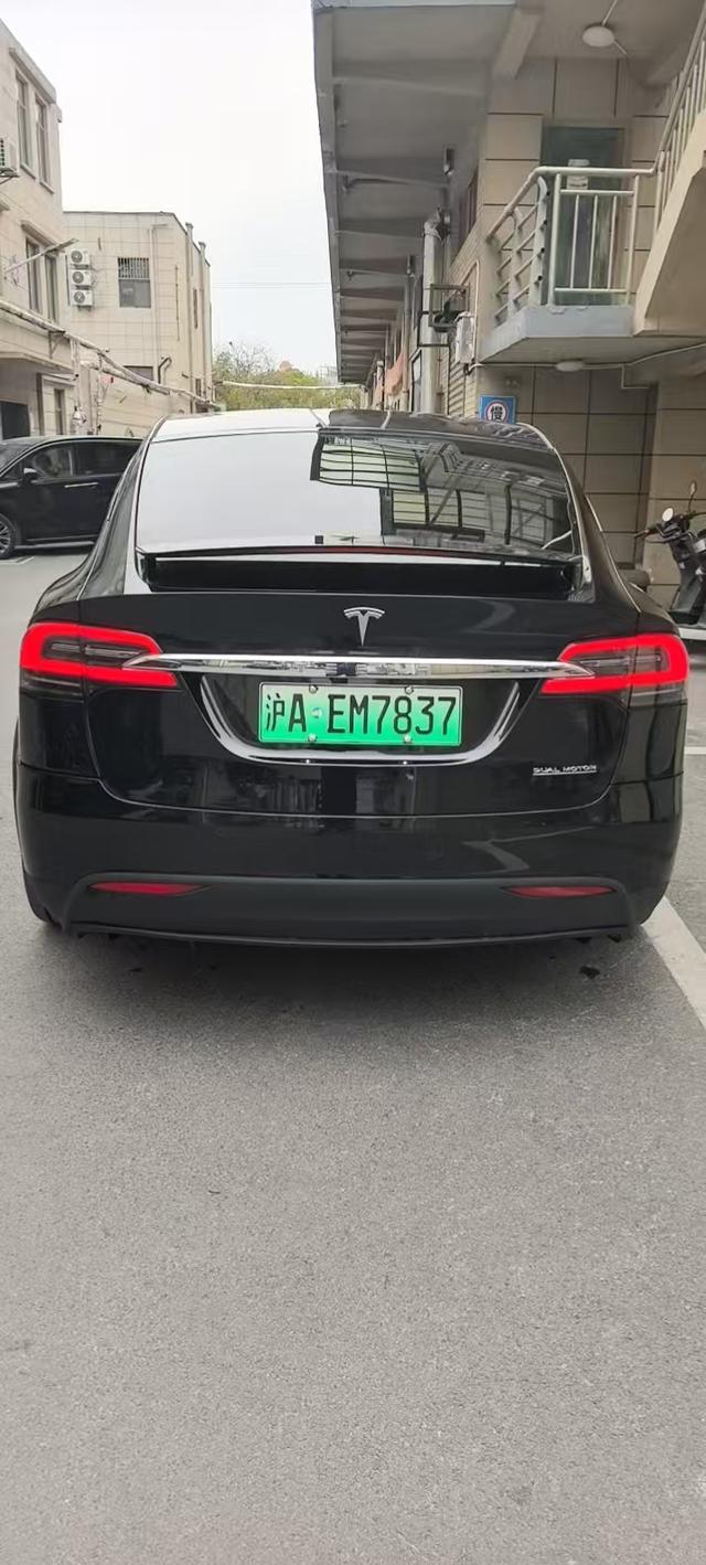 Tesla Model X 2019 Performance – фото 6
