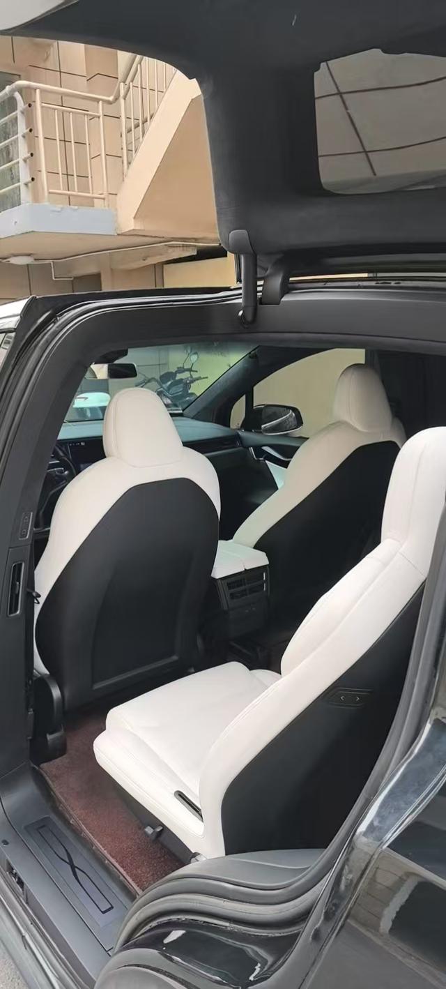 Tesla Model X 2019 Performance – фото 9