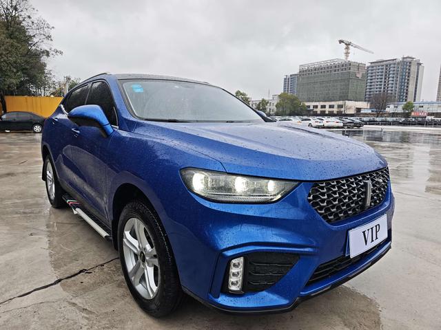 WEY VV5 Модель 2019 года 1.5T 2WD Trendy Pioneer – фото 3