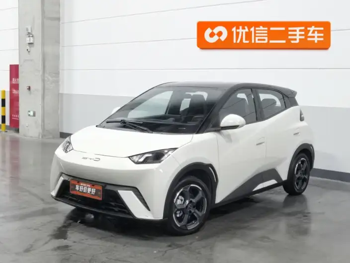 BYD Seagull 2023 Model Feixiang Edition