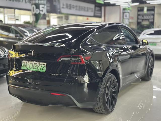 Tesla Model Y 2023 Long Range AWD – фото 7