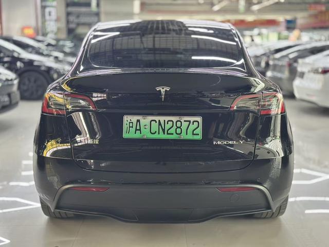 Tesla Model Y 2023 Long Range AWD – фото 8