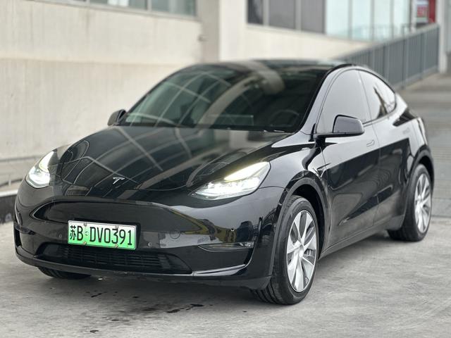 Tesla Model Y 2023 Long Range AWD – фото 1