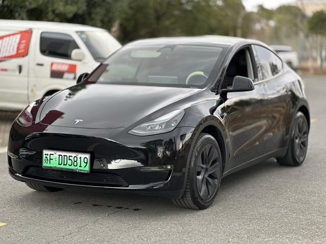 Tesla Model Y 2024 Long Range AWD – фото 1