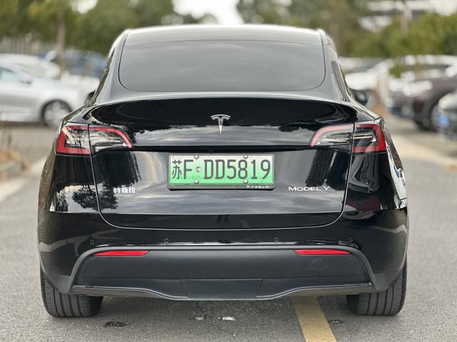 Tesla Model Y 2024 Long Range AWD – фото 6