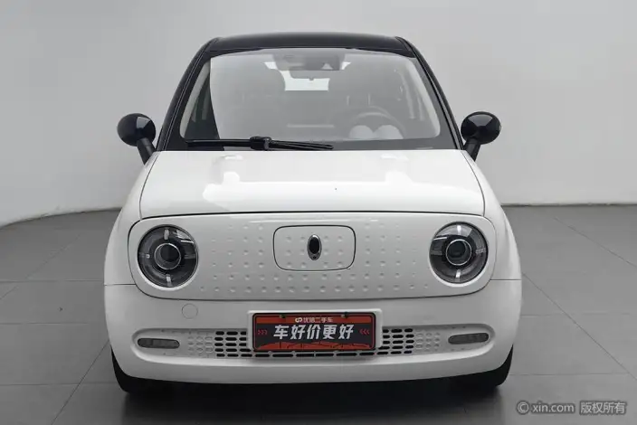 ORA Black Cat 2021 Model 351km Luxury Model